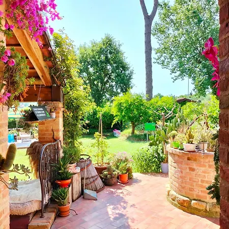 Ca' Dei Gelsi 3* Coriano