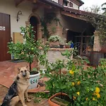 Bed and breakfast Ca' Dei Gelsi