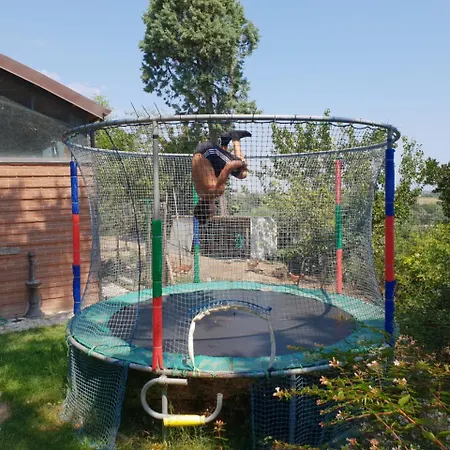 Ca' Dei Gelsi Bed and breakfast 3*