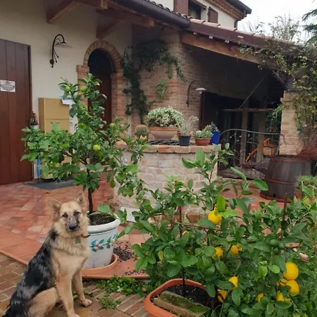 Bed & Breakfast Ca' Dei Gelsi