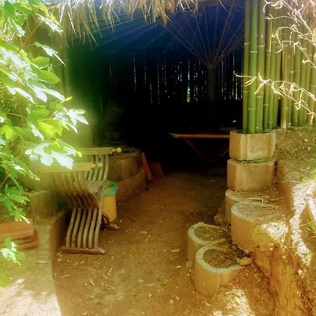 Ca' Dei Gelsi Bed & Breakfast *