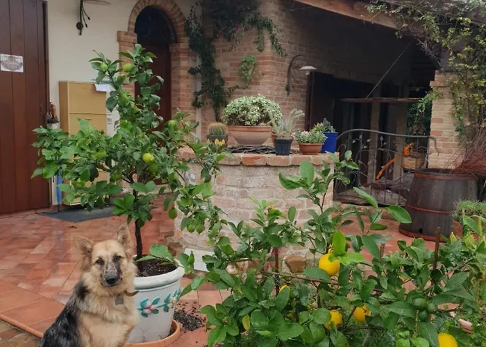 住宿加早餐酒店 Ca' Dei Gelsi
