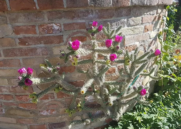 Ca' Dei Gelsi Panzió 3*